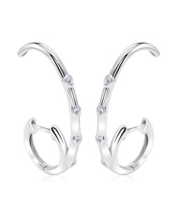 Pretty Unique Shaped CZ Crystal Silver Stud Earring HO-2473